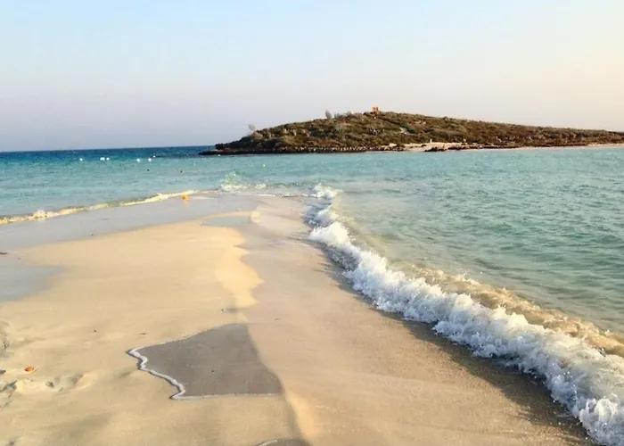 Daire Nissi Golden Lovely One Bedroom With Spacious Terrace And Free Parking