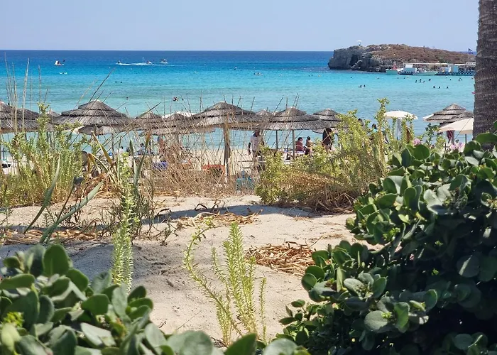 Nissi Golden Lovely One Bedroom With Spacious Terrace And Free Parking Daire *