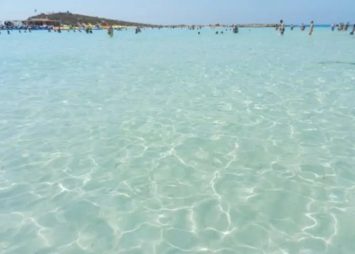 Nissi Golden Lovely One Bedroom With Spacious Terrace And Free Parking Daire Aya Napa